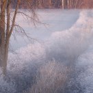 Frosty field